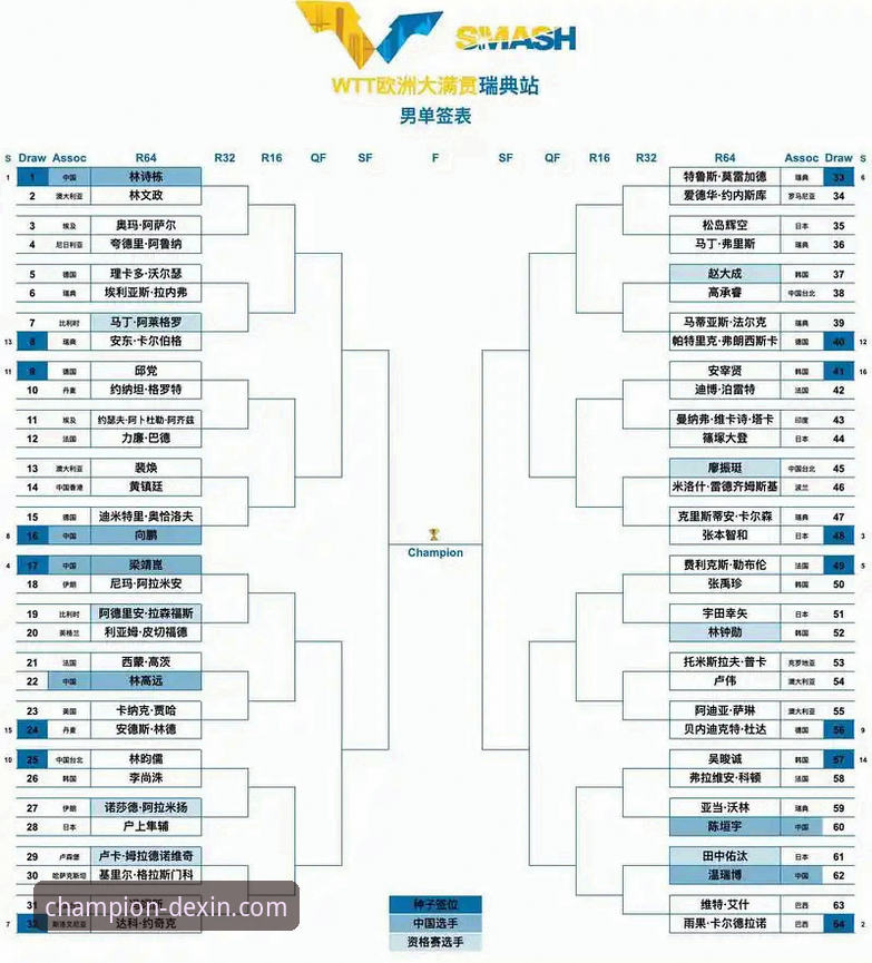 德信体育最新版下载 vs 冠军之路训练营：哪条路径更适合你的运动提升？